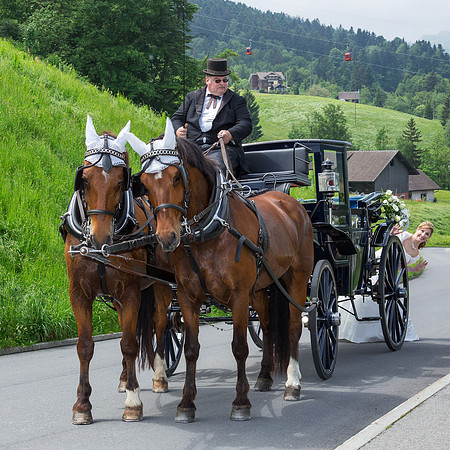 Mustergalerie fotoelvey - Kutsche mit Braut