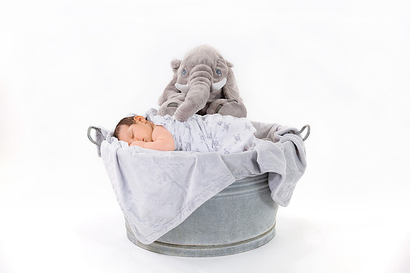 fotoelvey - Schwangerschaft und Babyfotos