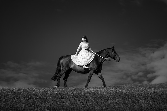 Hochzeitspferd Gurten - fotoelvey.ch