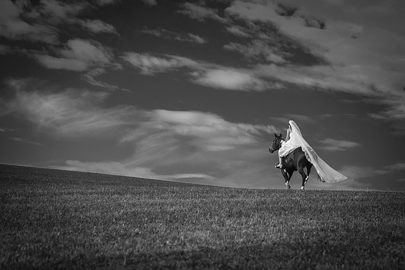 Hochzeitspferd Gurten - fotoelvey.ch